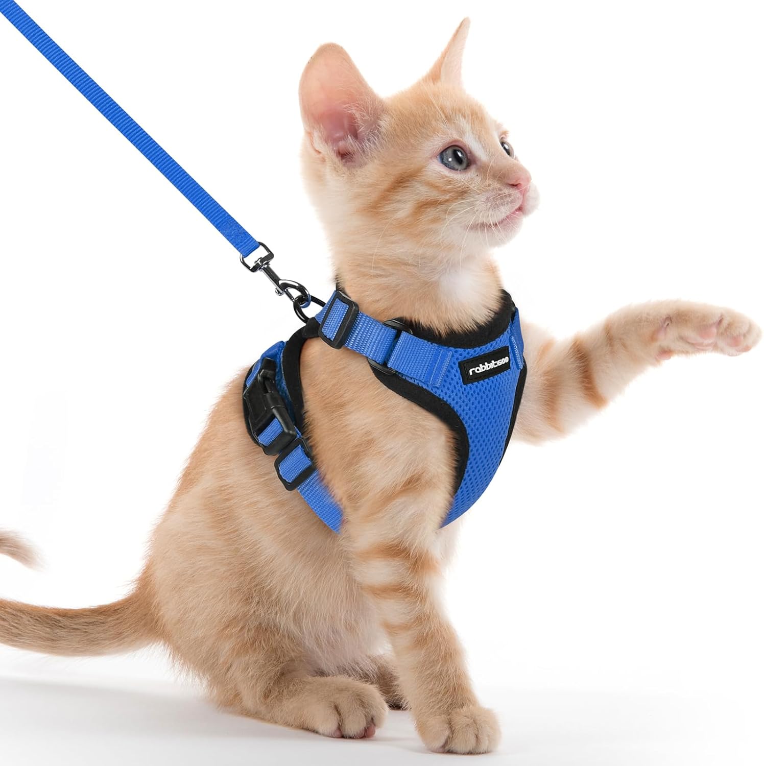 rabbitgoo Cat Harness and Leash for Walking, Escape Proof Soft Adjustable Vest Harnesses for Cats, Easy Control Breathable Reflective Strips Jacket, Black, S