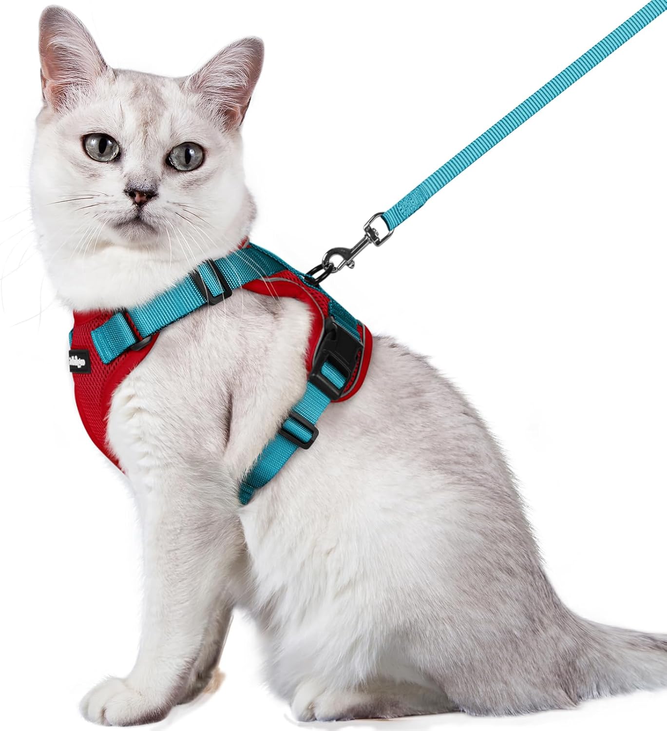 rabbitgoo Cat Harness and Leash for Walking, Escape Proof Soft Adjustable Vest Harnesses for Cats, Easy Control Breathable Reflective Strips Jacket, Black, S