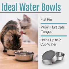 Stainless Pet Bowl Set