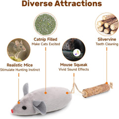 3-Pack Squeaky Chew Toys