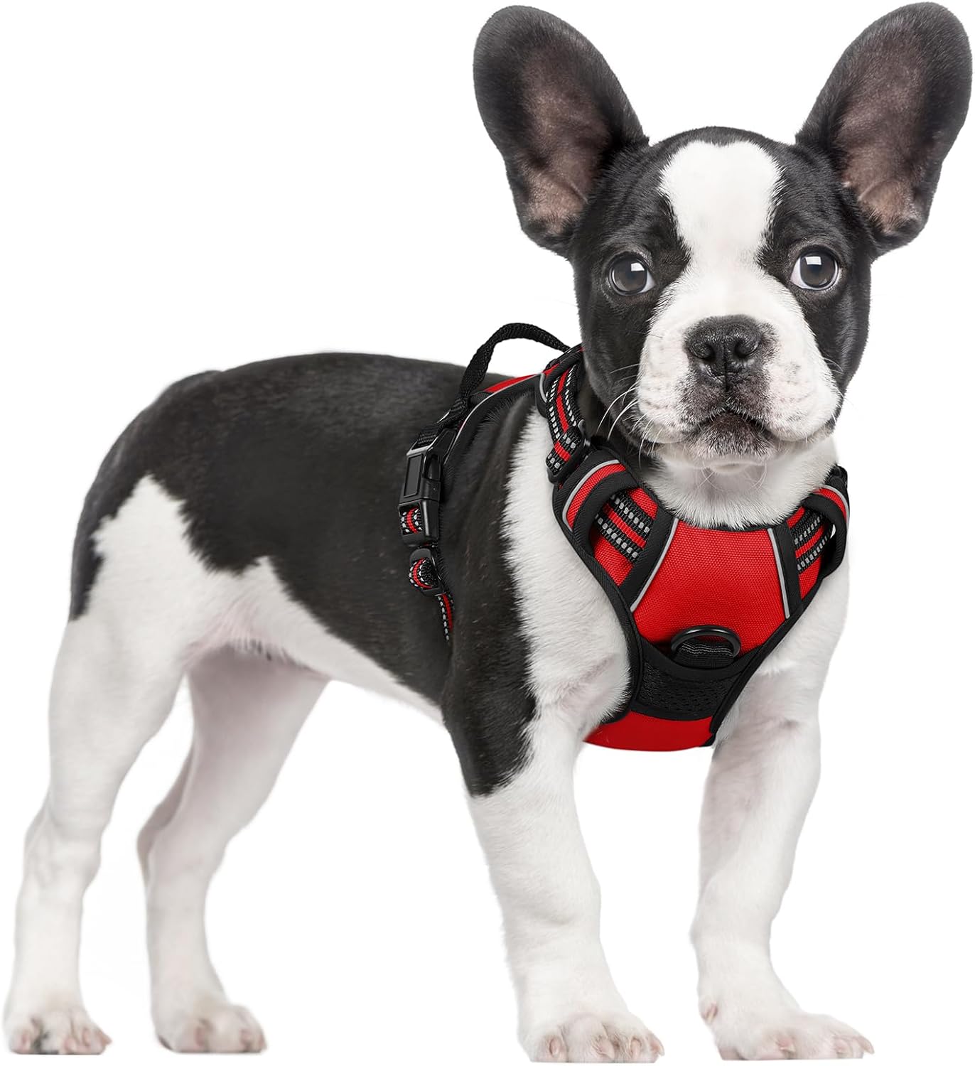 rabbitgoo Dog Harness No Pull with 2 Leash Clips, Adjustable Soft Padded, Reflective Oxford No Choke Pet Vest with Easy Control Handle for Large Dogs, Black, L
