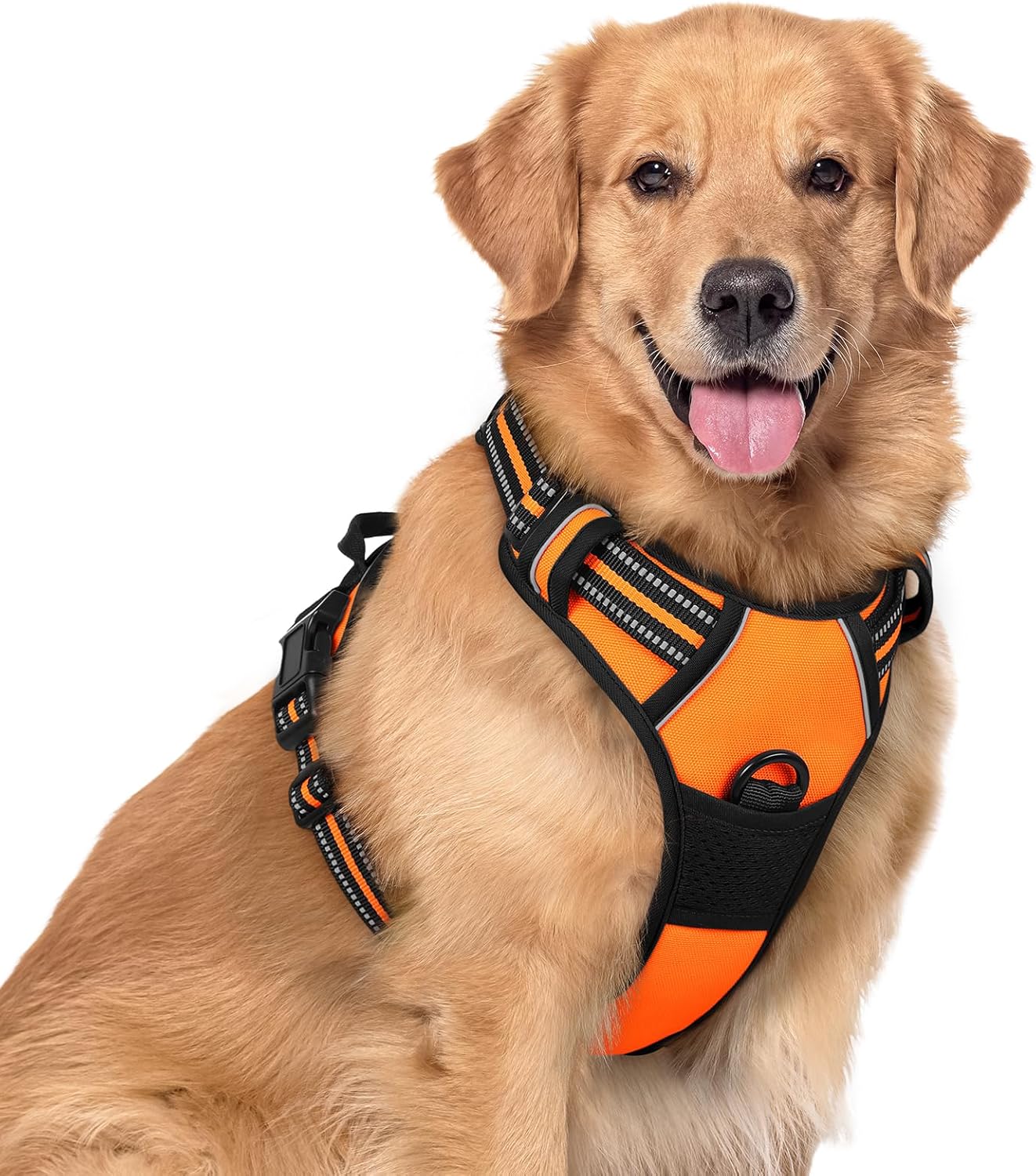 rabbitgoo Dog Harness No Pull with 2 Leash Clips, Adjustable Soft Padded, Reflective Oxford No Choke Pet Vest with Easy Control Handle for Large Dogs, Black, L