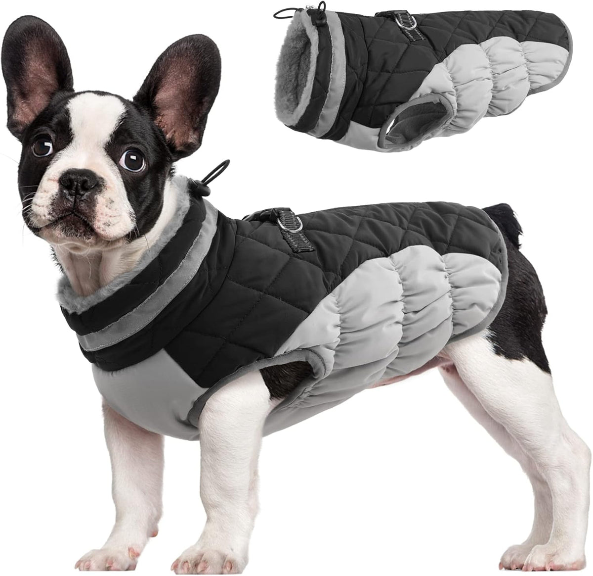 Waterproof Dog Winter Coat