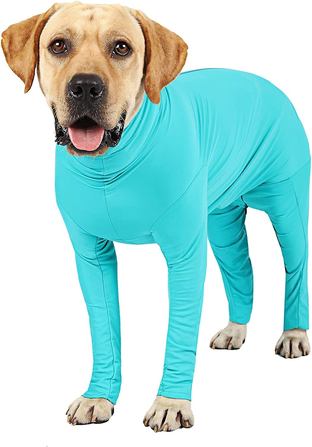 Etdane Recovery Suit for Dogs Surgery Suit Female Spay Dog Surgical Recovery Suit Male Dog Onesie for Surgery Female Anti Licking Wounds Dog Shedding Suit Grey/Small