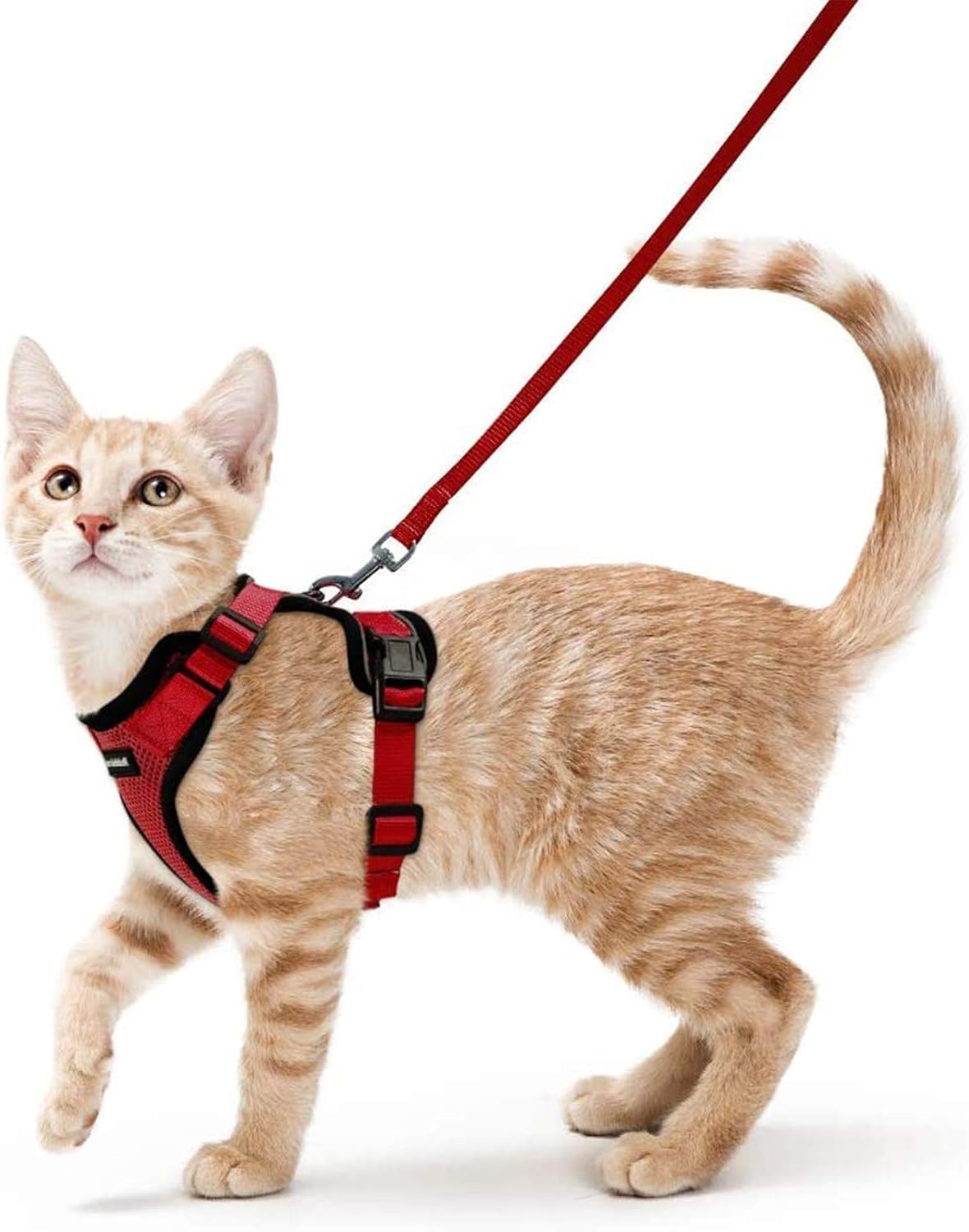 rabbitgoo Cat Harness and Leash for Walking, Escape Proof Soft Adjustable Vest Harnesses for Cats, Easy Control Breathable Reflective Strips Jacket, Black, S