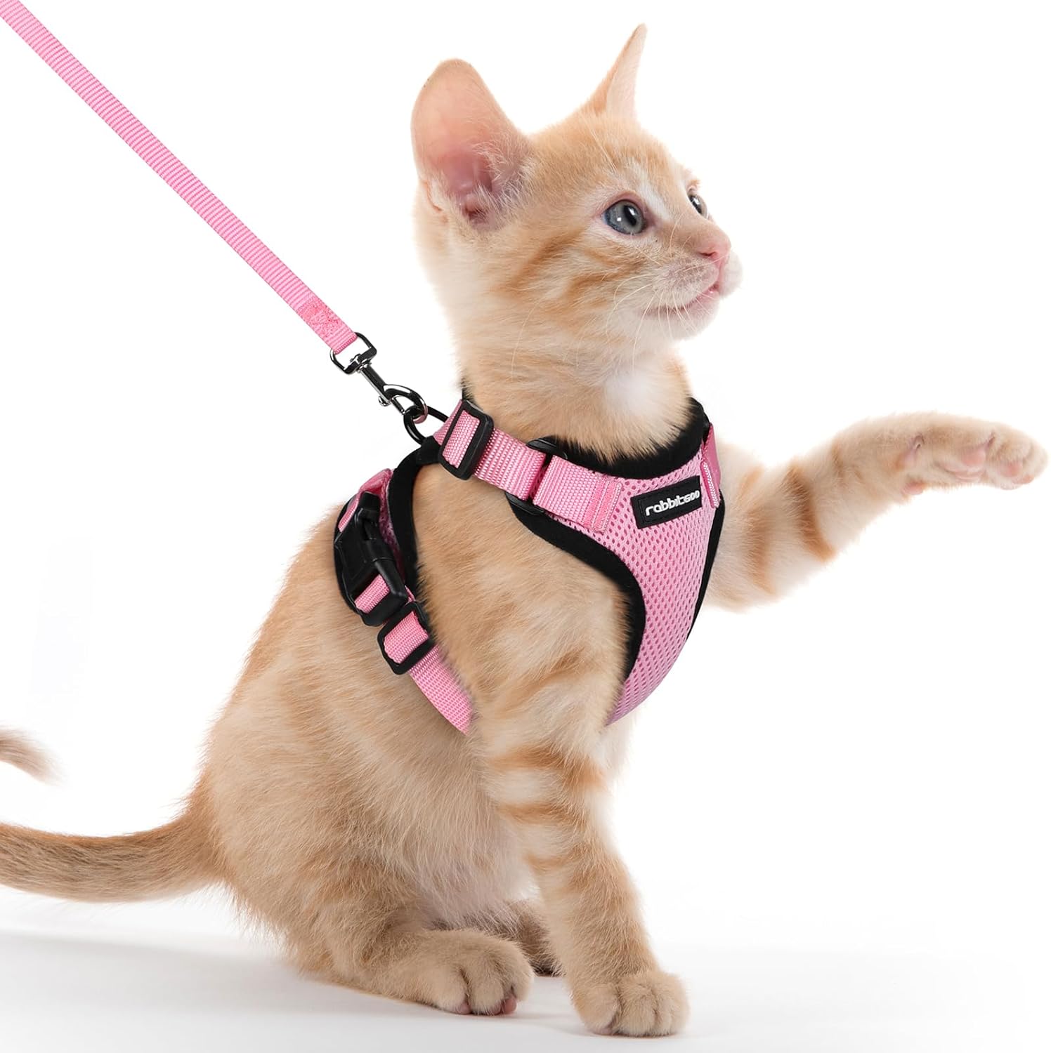 rabbitgoo Cat Harness and Leash for Walking, Escape Proof Soft Adjustable Vest Harnesses for Cats, Easy Control Breathable Reflective Strips Jacket, Black, S