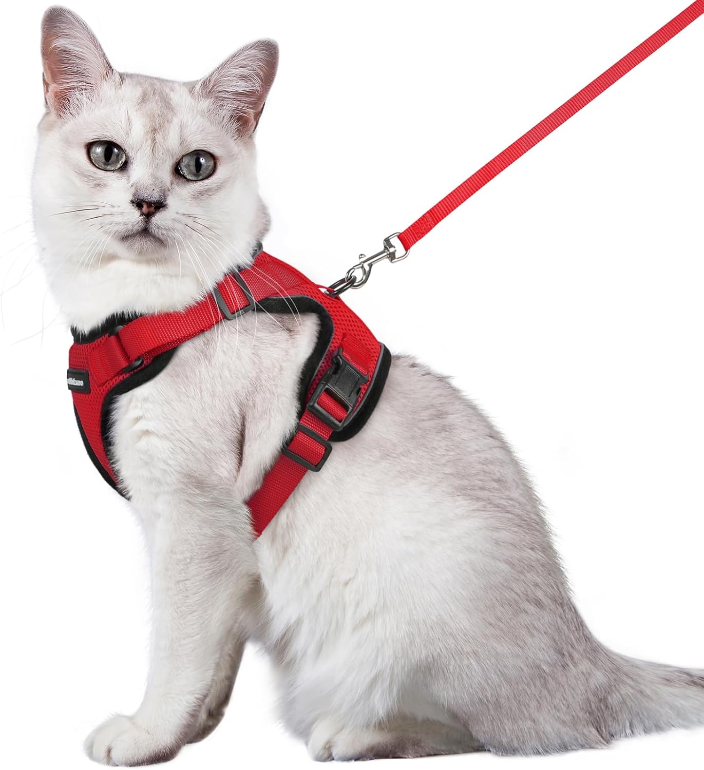 rabbitgoo Cat Harness and Leash for Walking, Escape Proof Soft Adjustable Vest Harnesses for Cats, Easy Control Breathable Reflective Strips Jacket, Black, S