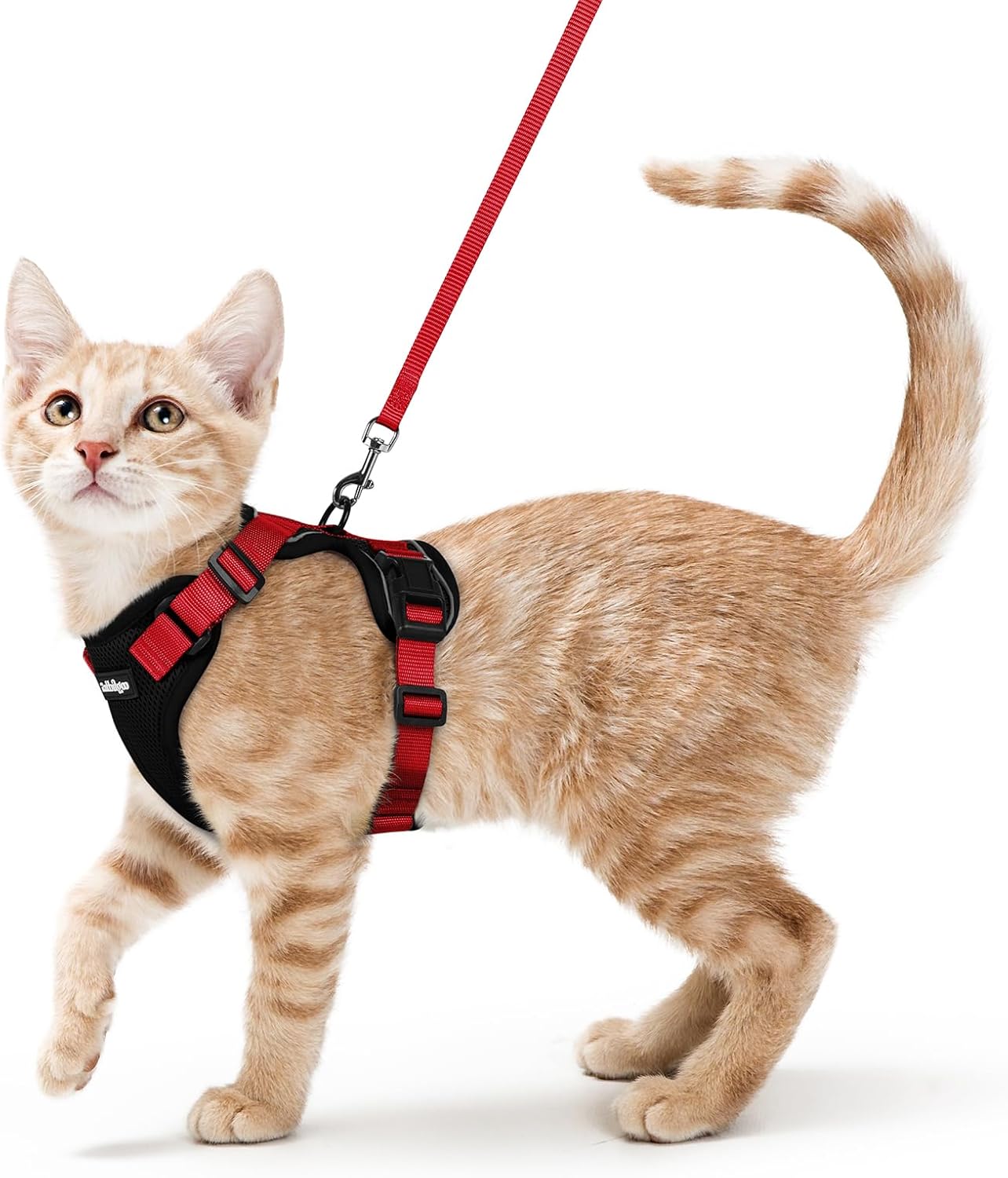 rabbitgoo Cat Harness and Leash for Walking, Escape Proof Soft Adjustable Vest Harnesses for Cats, Easy Control Breathable Reflective Strips Jacket, Black, S