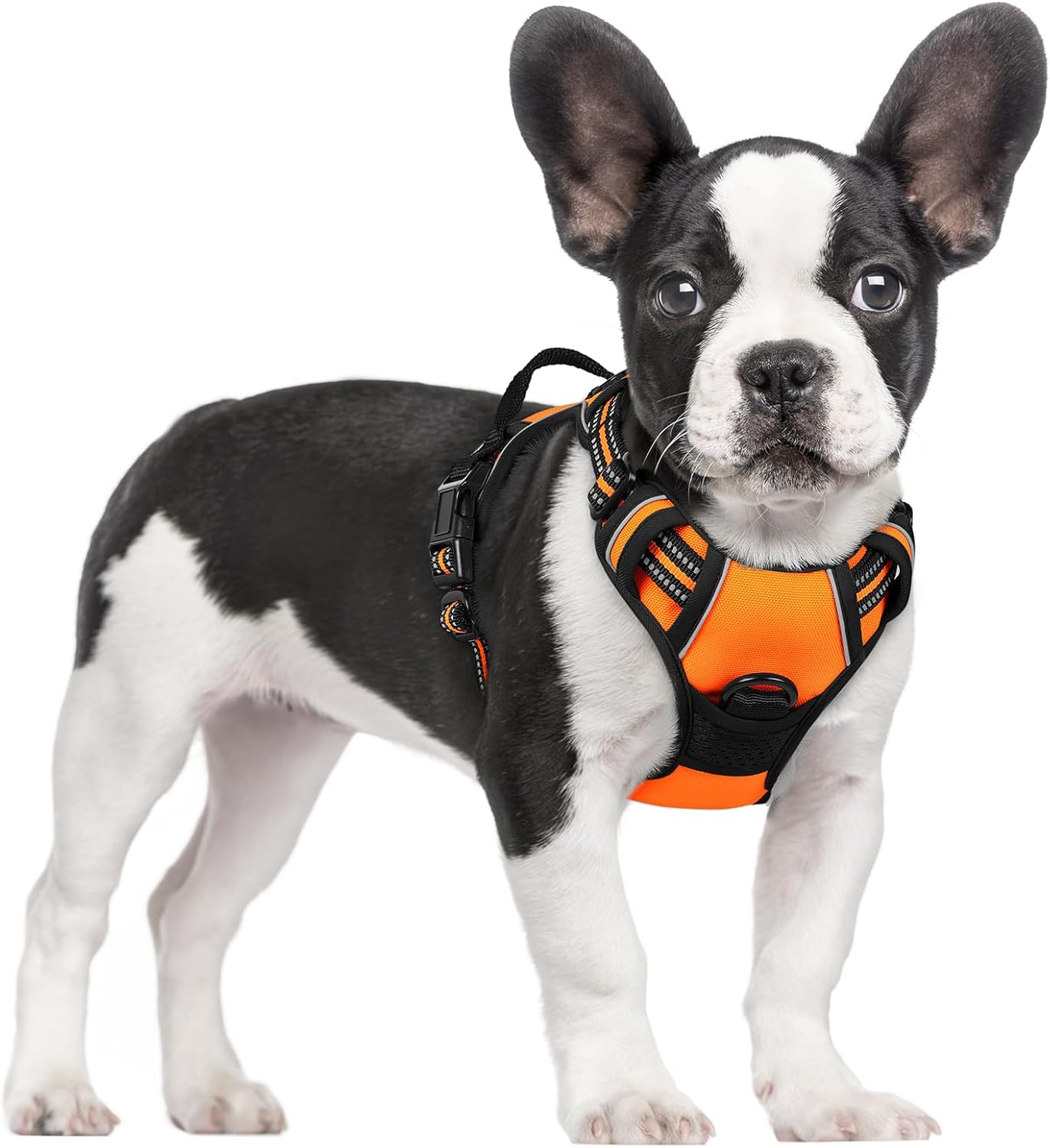 rabbitgoo Dog Harness No Pull with 2 Leash Clips, Adjustable Soft Padded, Reflective Oxford No Choke Pet Vest with Easy Control Handle for Large Dogs, Black, L
