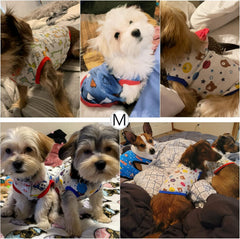 6-Pack Cotton Puppy Shirts
