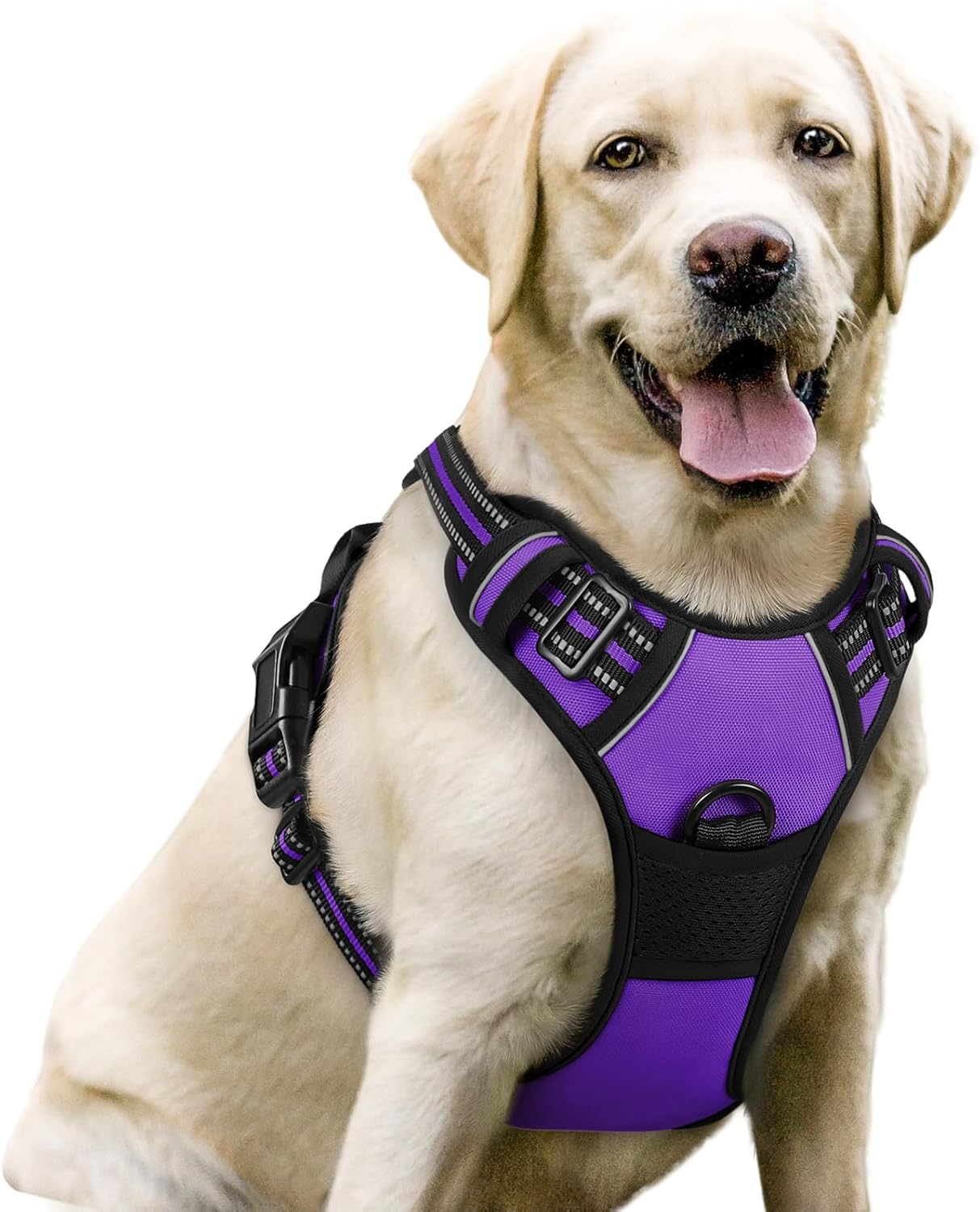 rabbitgoo Dog Harness No Pull with 2 Leash Clips, Adjustable Soft Padded, Reflective Oxford No Choke Pet Vest with Easy Control Handle for Large Dogs, Black, L