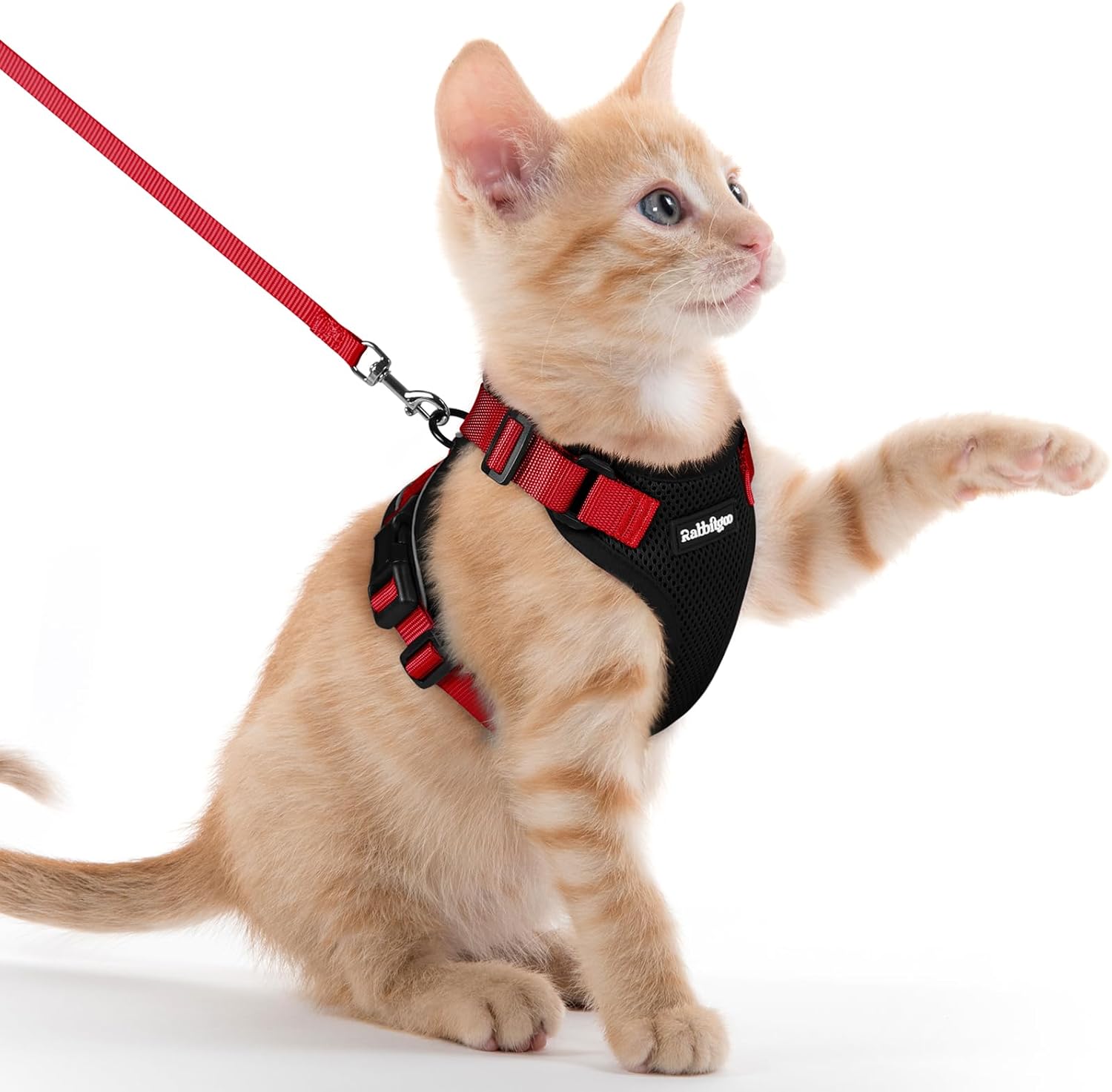 rabbitgoo Cat Harness and Leash for Walking, Escape Proof Soft Adjustable Vest Harnesses for Cats, Easy Control Breathable Reflective Strips Jacket, Black, S