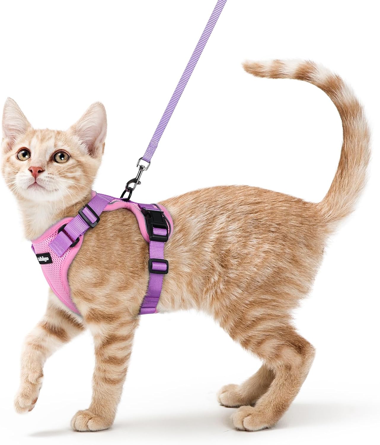 rabbitgoo Cat Harness and Leash for Walking, Escape Proof Soft Adjustable Vest Harnesses for Cats, Easy Control Breathable Reflective Strips Jacket, Black, S