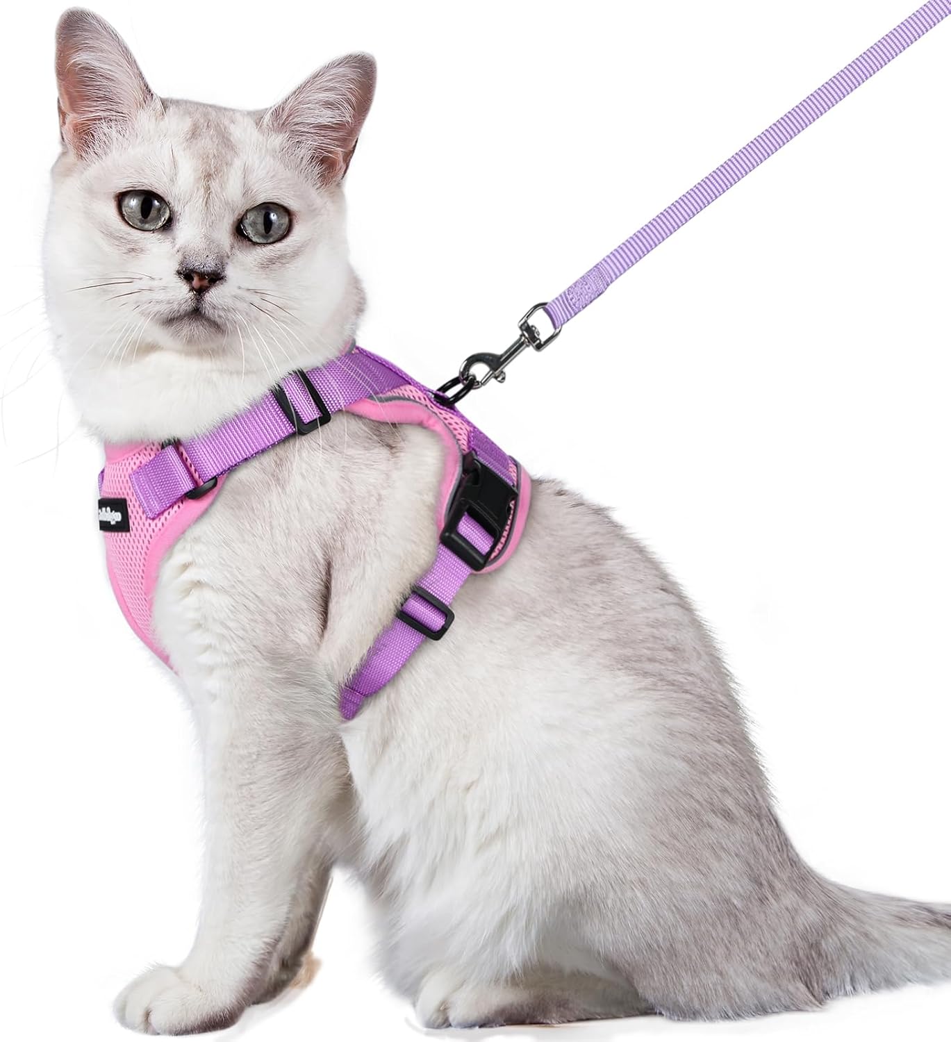 rabbitgoo Cat Harness and Leash for Walking, Escape Proof Soft Adjustable Vest Harnesses for Cats, Easy Control Breathable Reflective Strips Jacket, Black, S