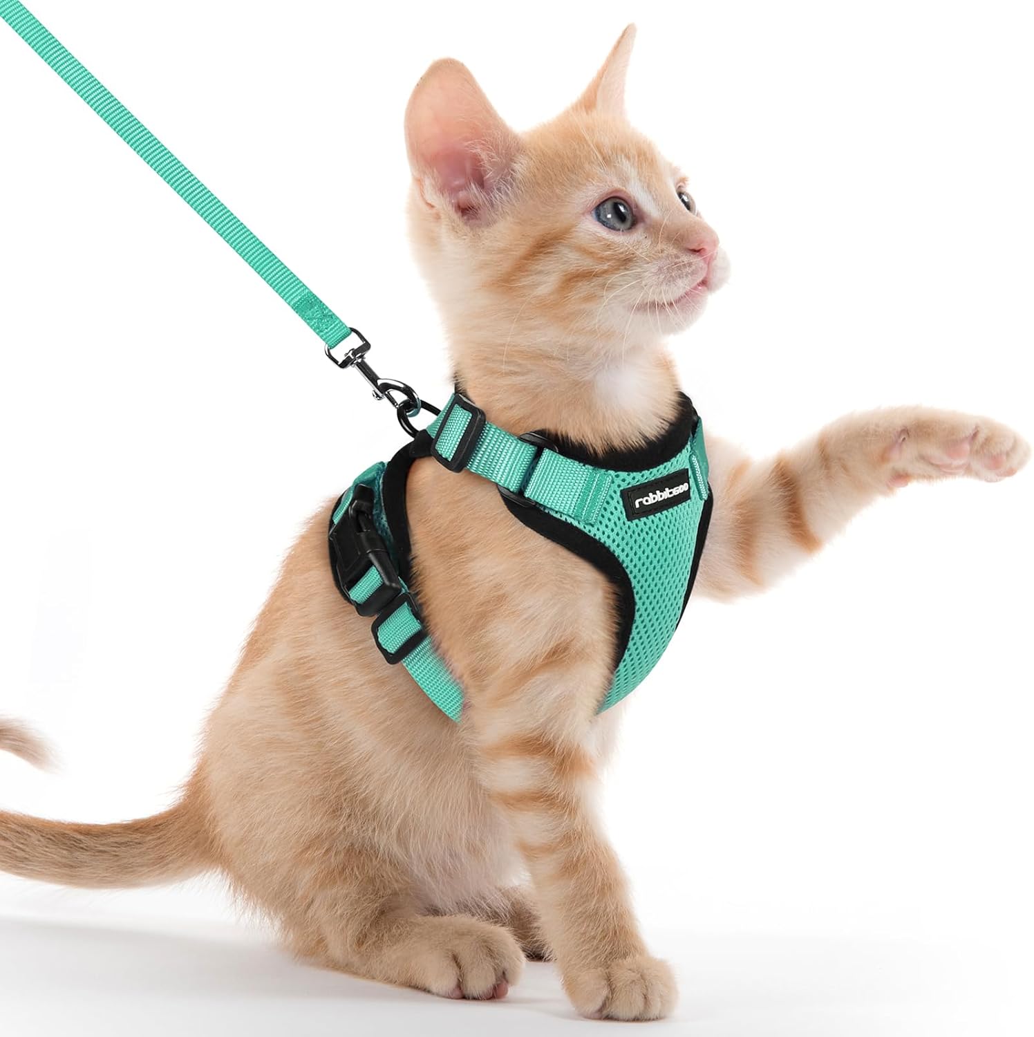 rabbitgoo Cat Harness and Leash for Walking, Escape Proof Soft Adjustable Vest Harnesses for Cats, Easy Control Breathable Reflective Strips Jacket, Black, S