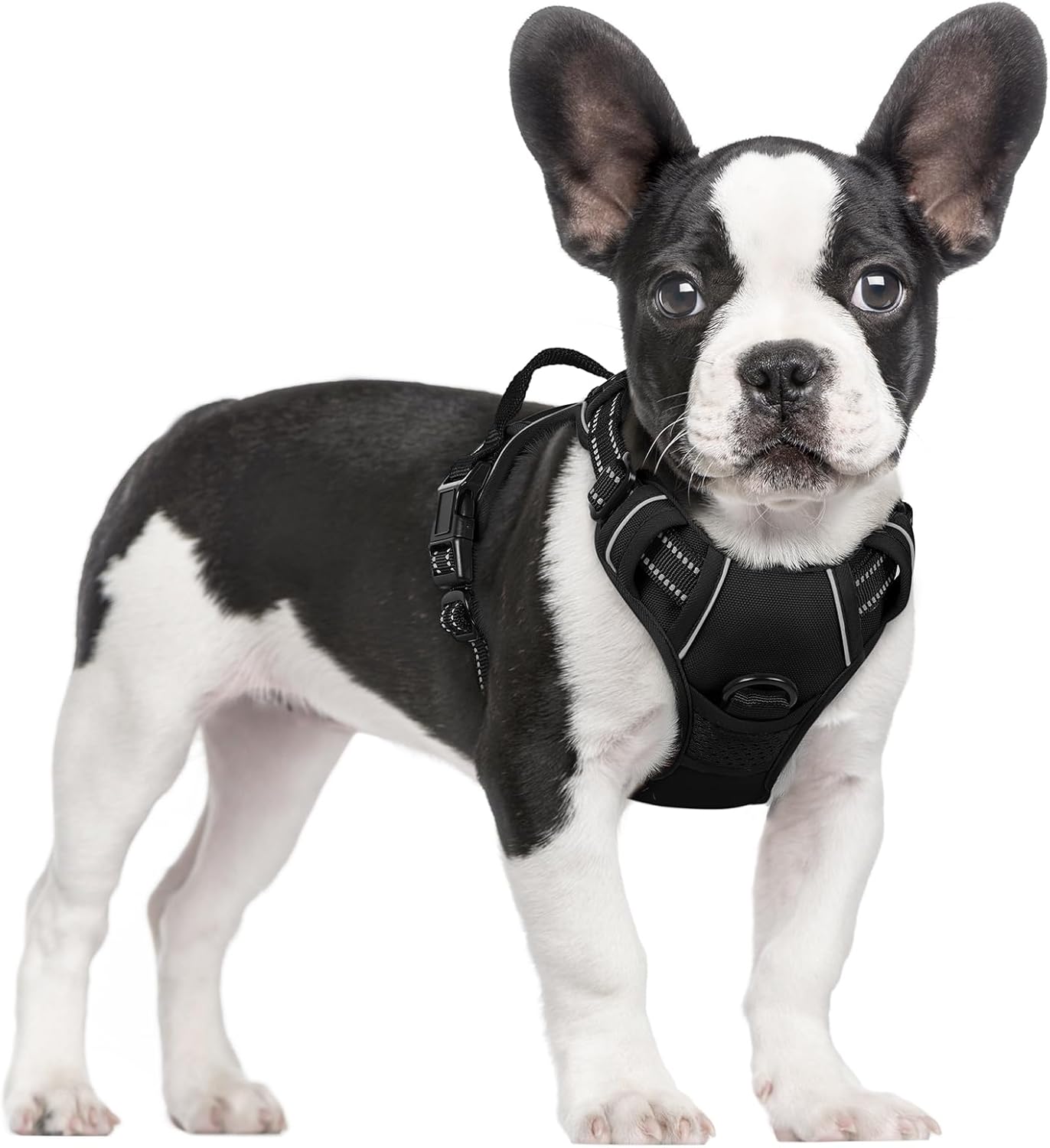 rabbitgoo Dog Harness No Pull with 2 Leash Clips, Adjustable Soft Padded, Reflective Oxford No Choke Pet Vest with Easy Control Handle for Large Dogs, Black, L
