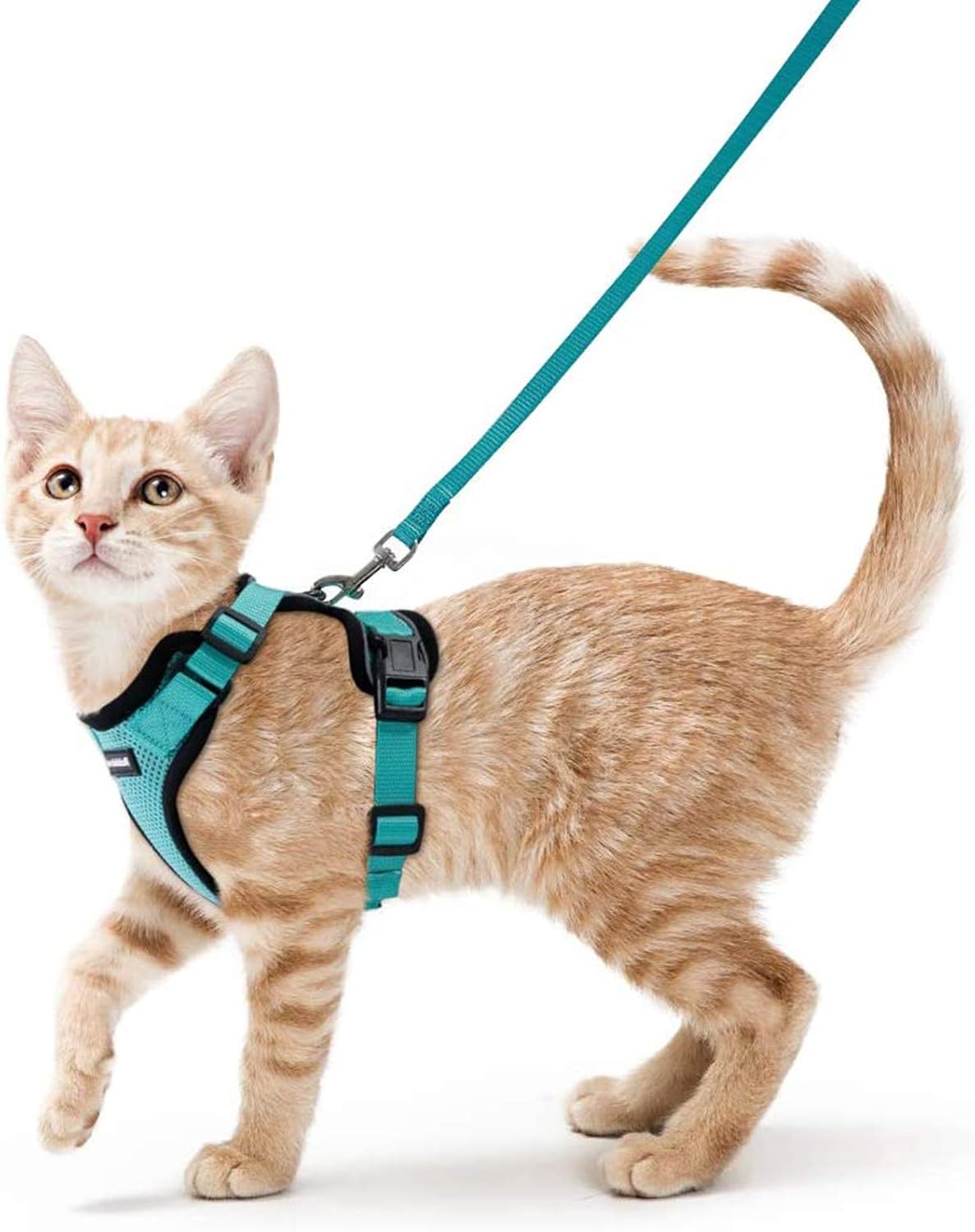 rabbitgoo Cat Harness and Leash for Walking, Escape Proof Soft Adjustable Vest Harnesses for Cats, Easy Control Breathable Reflective Strips Jacket, Black, S