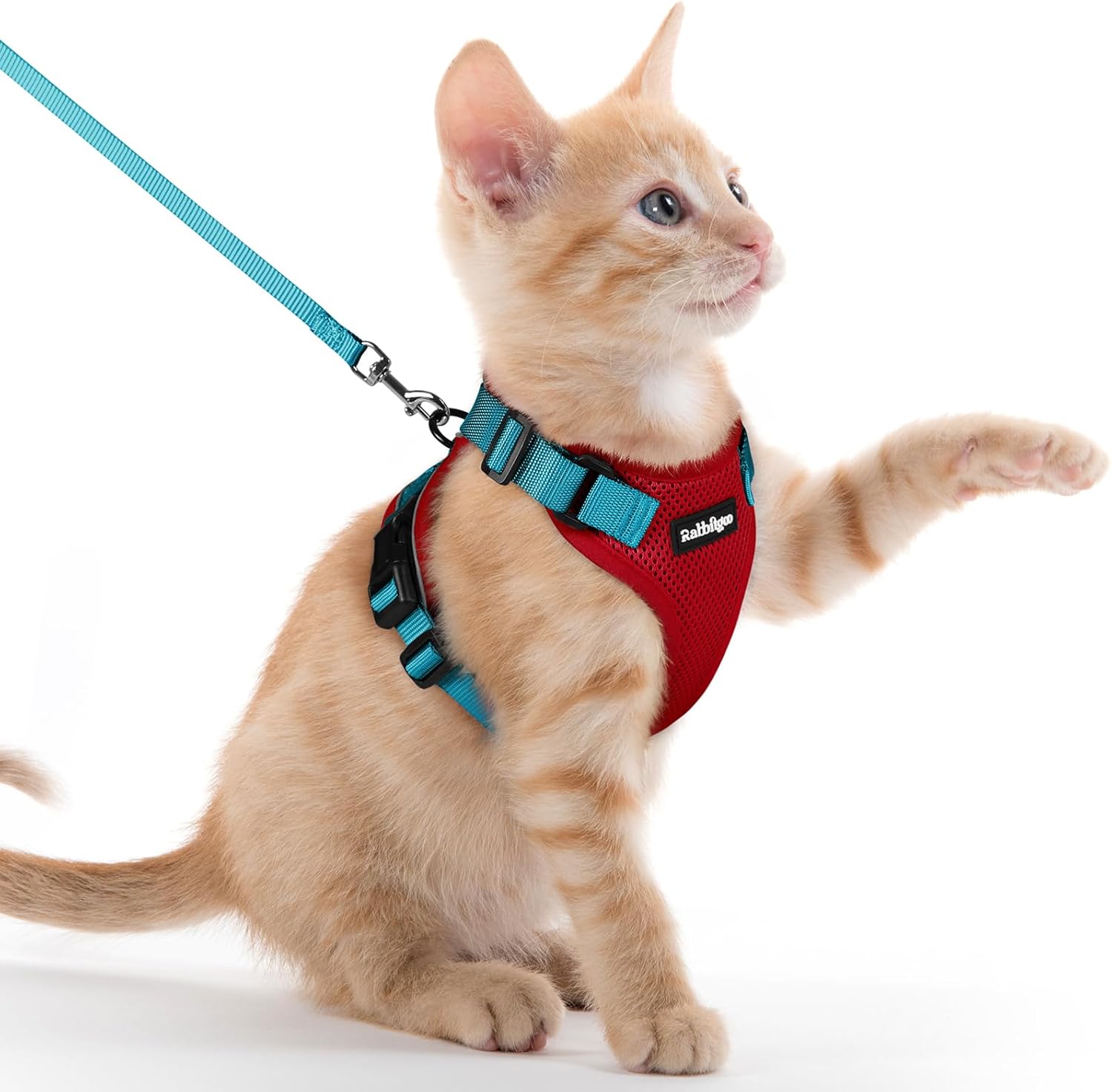 rabbitgoo Cat Harness and Leash for Walking, Escape Proof Soft Adjustable Vest Harnesses for Cats, Easy Control Breathable Reflective Strips Jacket, Black, S