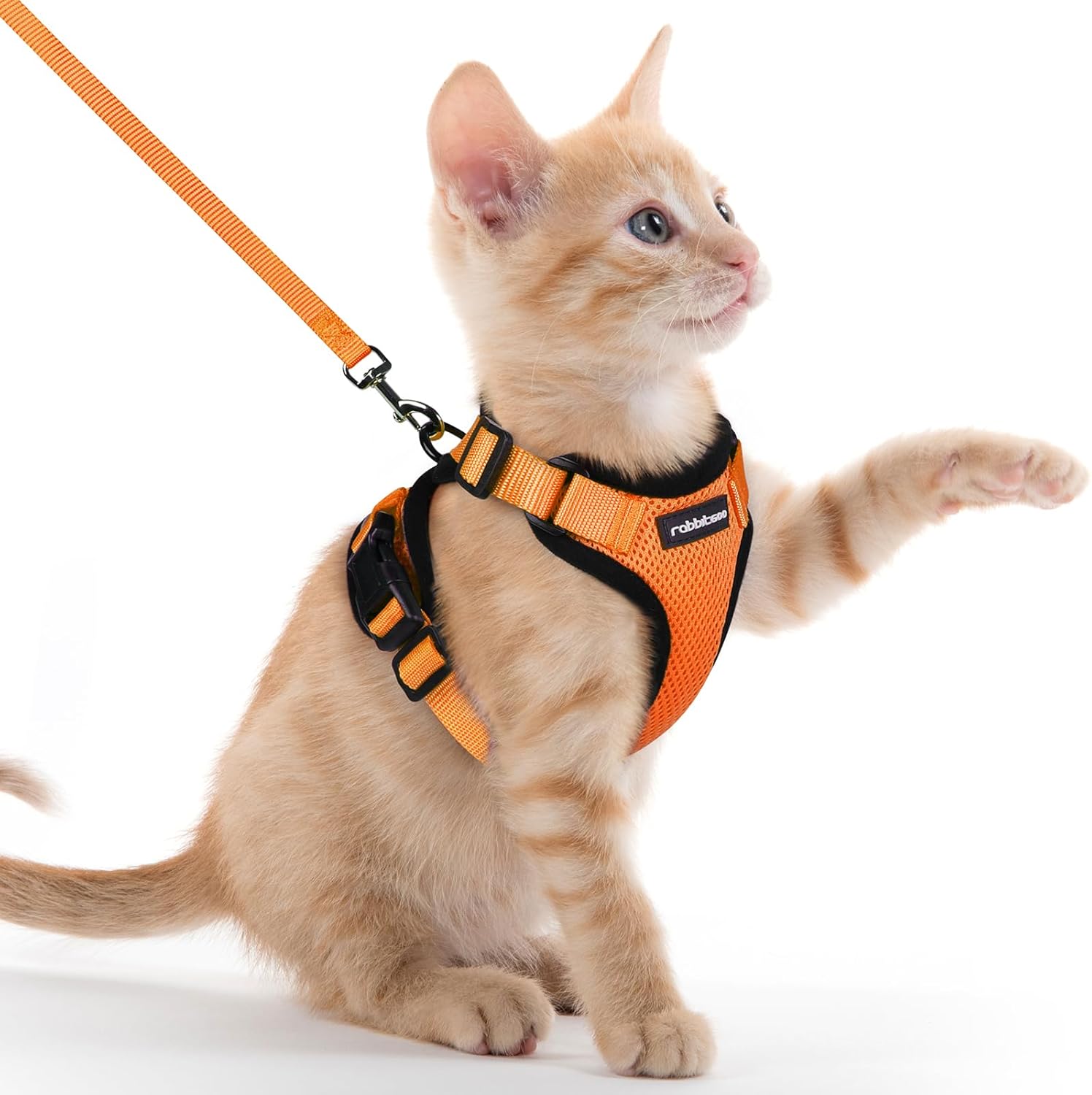 rabbitgoo Cat Harness and Leash for Walking, Escape Proof Soft Adjustable Vest Harnesses for Cats, Easy Control Breathable Reflective Strips Jacket, Black, S