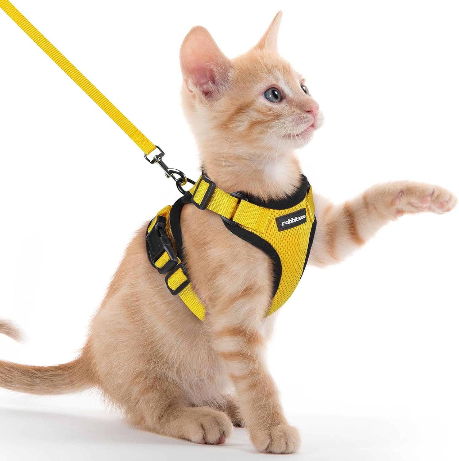 rabbitgoo Cat Harness and Leash for Walking, Escape Proof Soft Adjustable Vest Harnesses for Cats, Easy Control Breathable Reflective Strips Jacket, Black, S