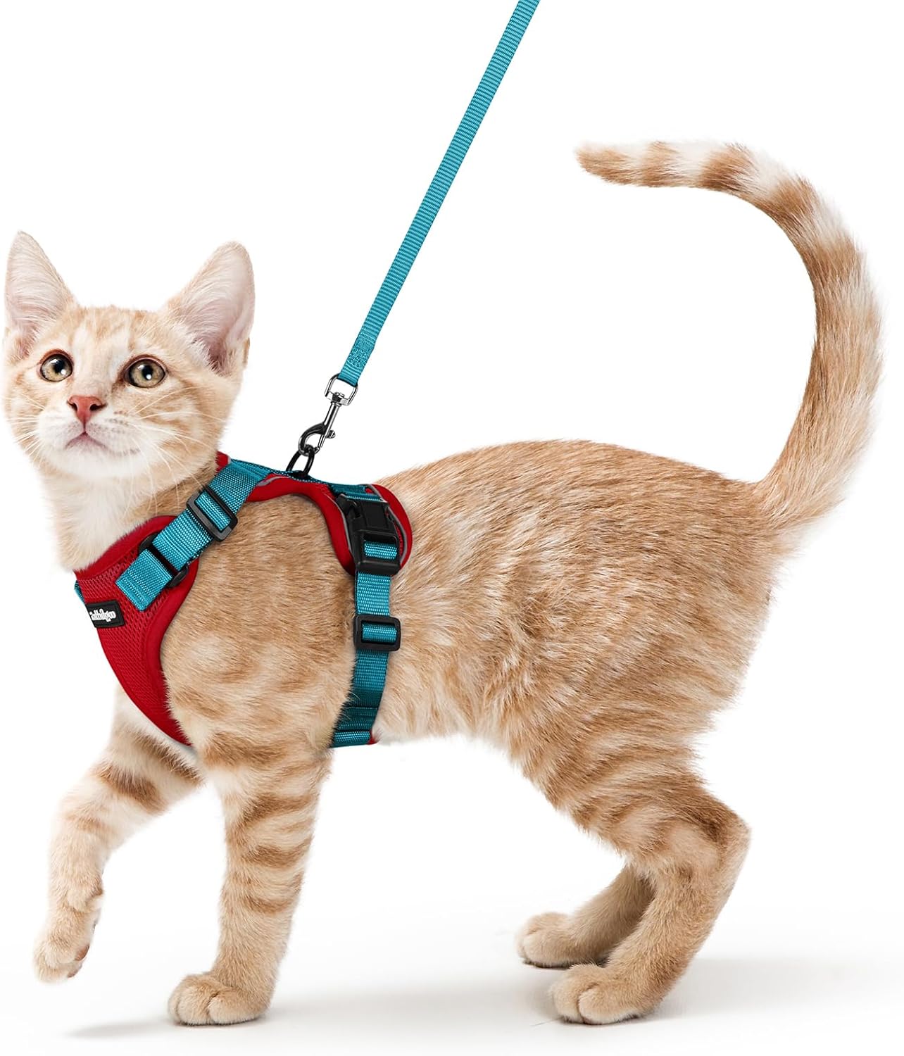 rabbitgoo Cat Harness and Leash for Walking, Escape Proof Soft Adjustable Vest Harnesses for Cats, Easy Control Breathable Reflective Strips Jacket, Black, S