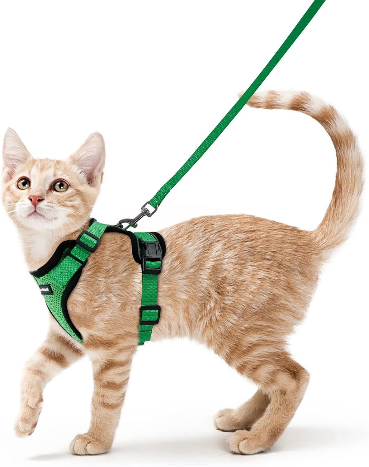 rabbitgoo Cat Harness and Leash for Walking, Escape Proof Soft Adjustable Vest Harnesses for Cats, Easy Control Breathable Reflective Strips Jacket, Black, S