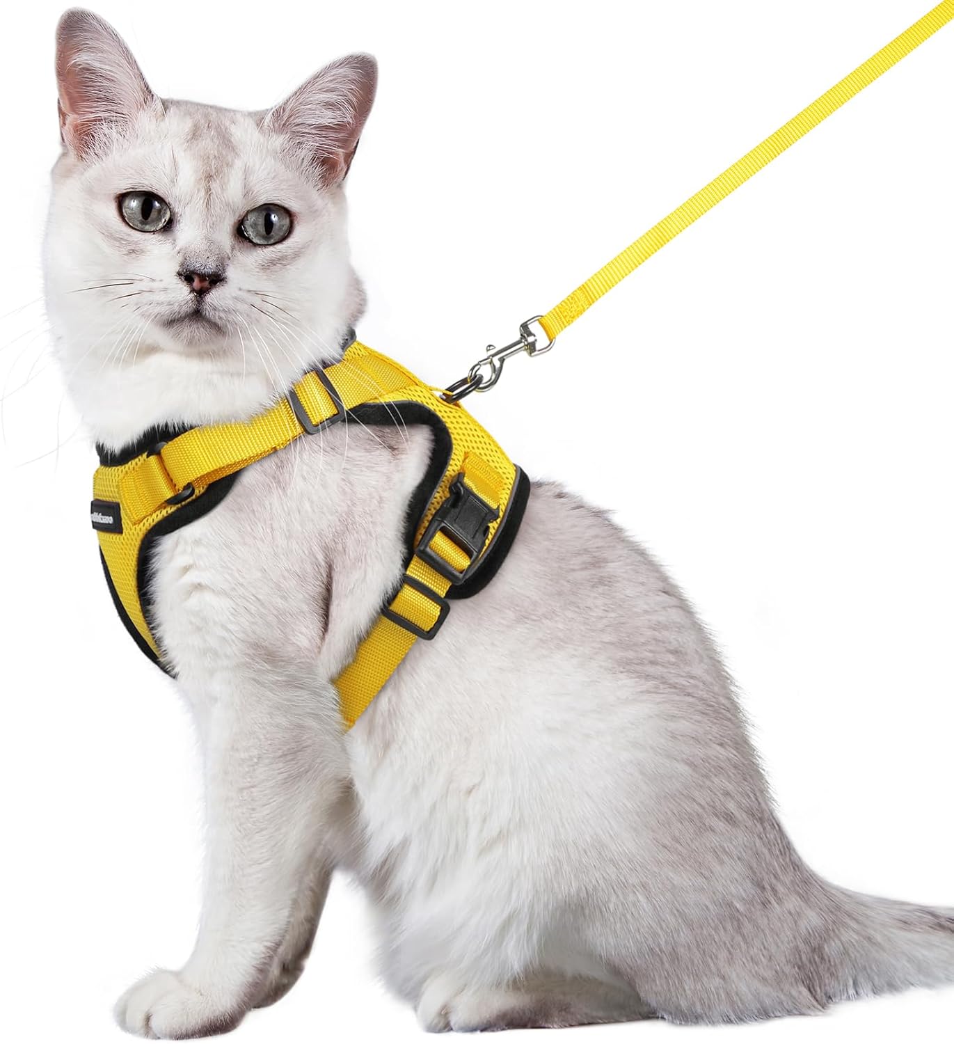 rabbitgoo Cat Harness and Leash for Walking, Escape Proof Soft Adjustable Vest Harnesses for Cats, Easy Control Breathable Reflective Strips Jacket, Black, S