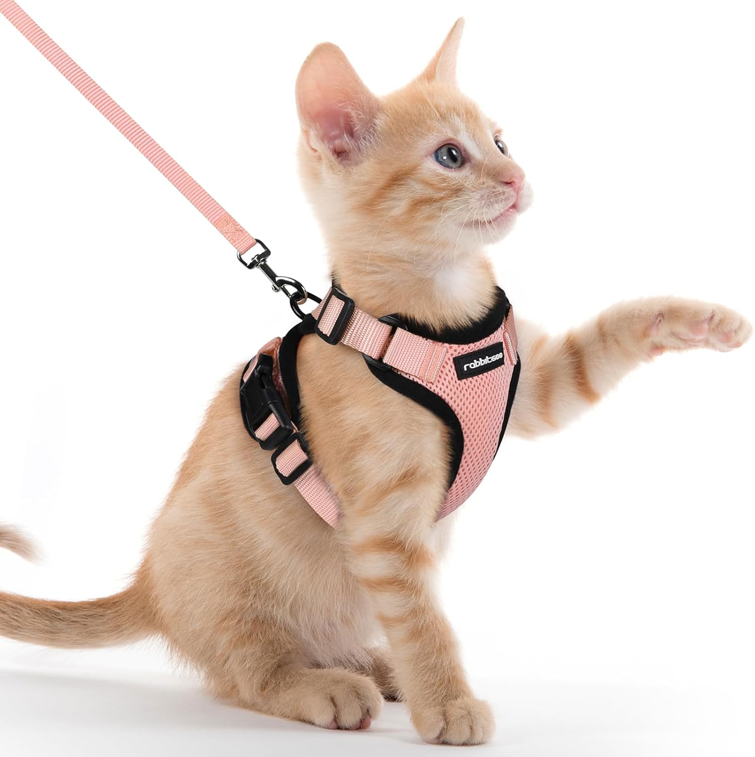 rabbitgoo Cat Harness and Leash for Walking, Escape Proof Soft Adjustable Vest Harnesses for Cats, Easy Control Breathable Reflective Strips Jacket, Black, S