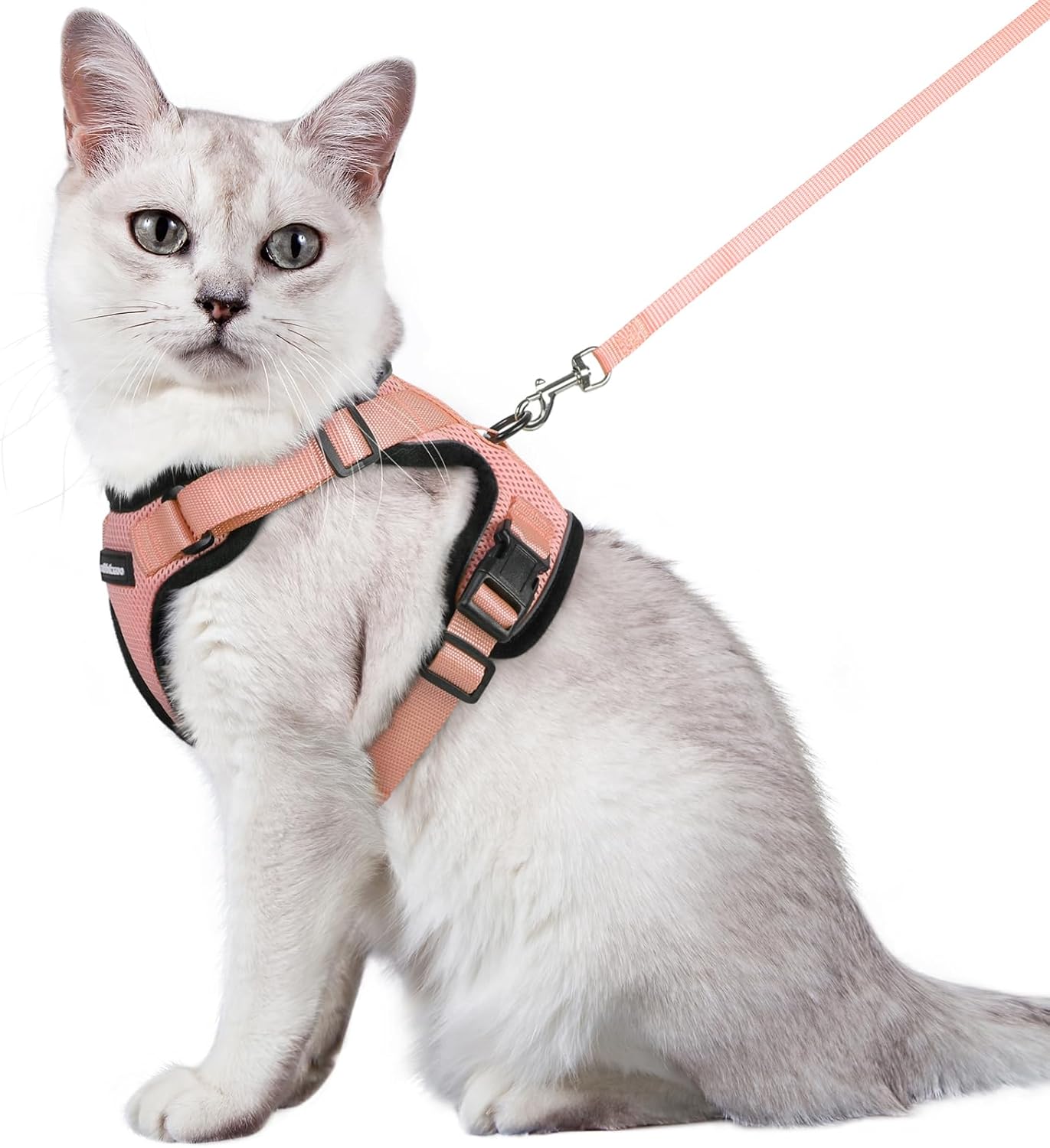 rabbitgoo Cat Harness and Leash for Walking, Escape Proof Soft Adjustable Vest Harnesses for Cats, Easy Control Breathable Reflective Strips Jacket, Black, S
