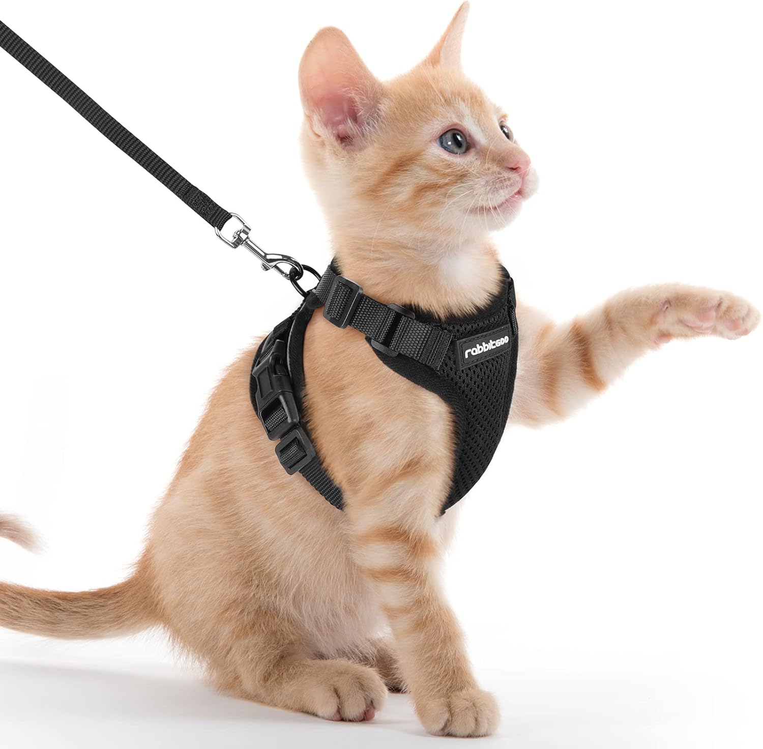 rabbitgoo Cat Harness and Leash for Walking, Escape Proof Soft Adjustable Vest Harnesses for Cats, Easy Control Breathable Reflective Strips Jacket, Black, S
