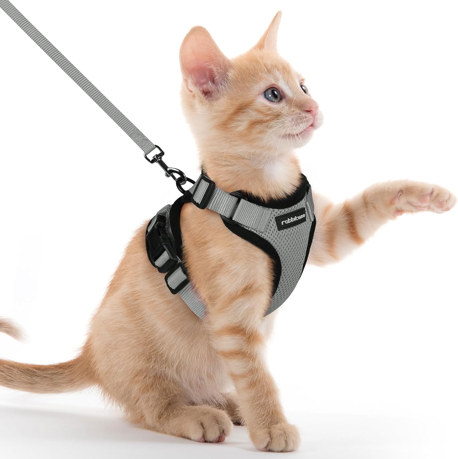 rabbitgoo Cat Harness and Leash for Walking, Escape Proof Soft Adjustable Vest Harnesses for Cats, Easy Control Breathable Reflective Strips Jacket, Black, S