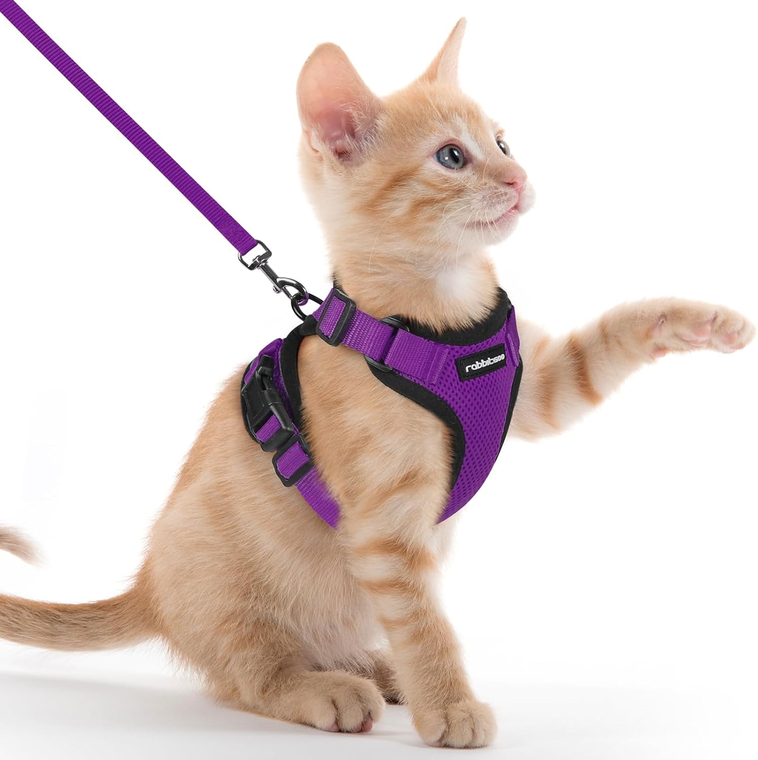 rabbitgoo Cat Harness and Leash for Walking, Escape Proof Soft Adjustable Vest Harnesses for Cats, Easy Control Breathable Reflective Strips Jacket, Black, S