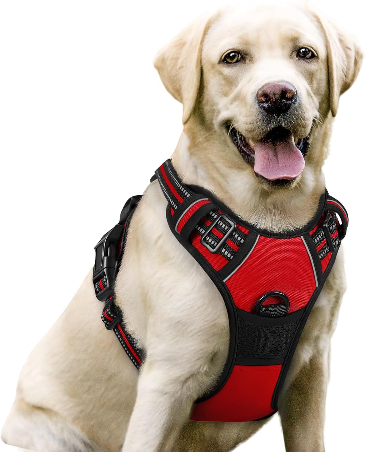 rabbitgoo Dog Harness No Pull with 2 Leash Clips, Adjustable Soft Padded, Reflective Oxford No Choke Pet Vest with Easy Control Handle for Large Dogs, Black, L
