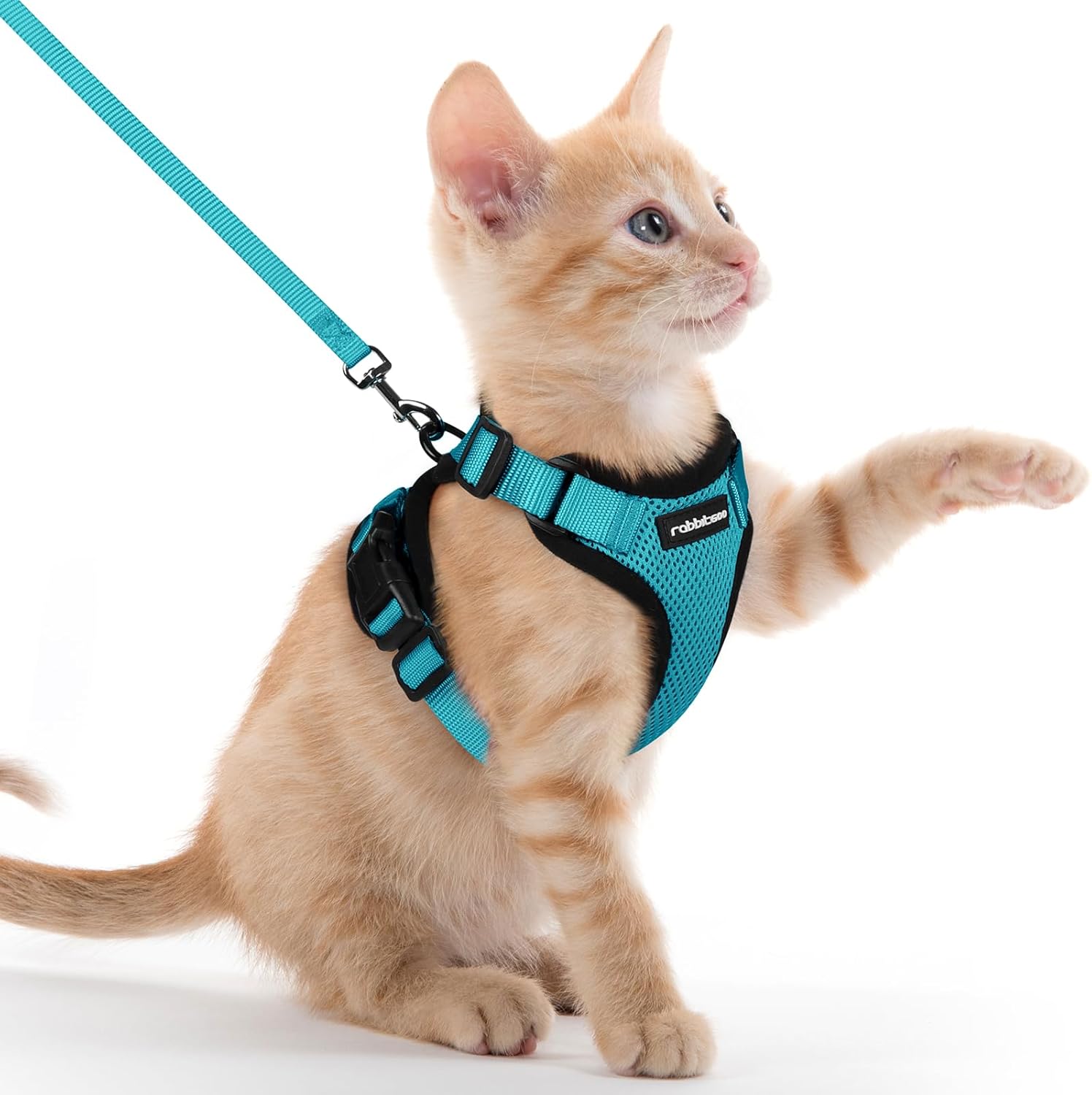 rabbitgoo Cat Harness and Leash for Walking, Escape Proof Soft Adjustable Vest Harnesses for Cats, Easy Control Breathable Reflective Strips Jacket, Black, S