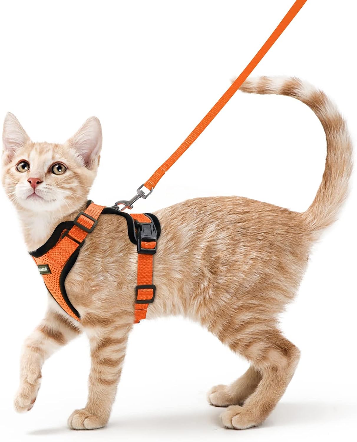 rabbitgoo Cat Harness and Leash for Walking, Escape Proof Soft Adjustable Vest Harnesses for Cats, Easy Control Breathable Reflective Strips Jacket, Black, S