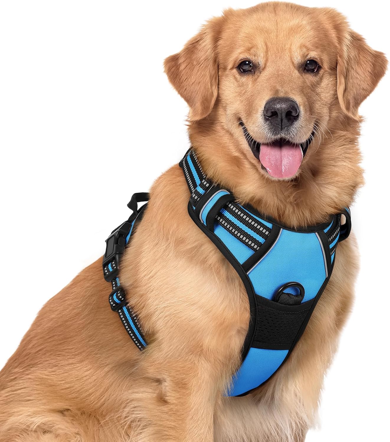 rabbitgoo Dog Harness No Pull with 2 Leash Clips, Adjustable Soft Padded, Reflective Oxford No Choke Pet Vest with Easy Control Handle for Large Dogs, Black, L