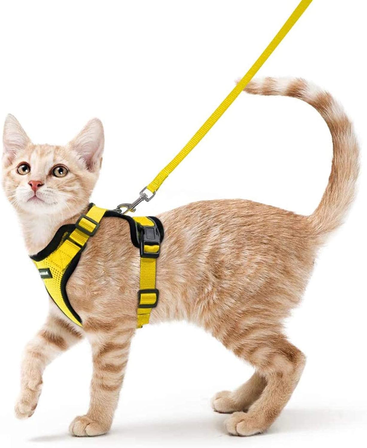rabbitgoo Cat Harness and Leash for Walking, Escape Proof Soft Adjustable Vest Harnesses for Cats, Easy Control Breathable Reflective Strips Jacket, Black, S