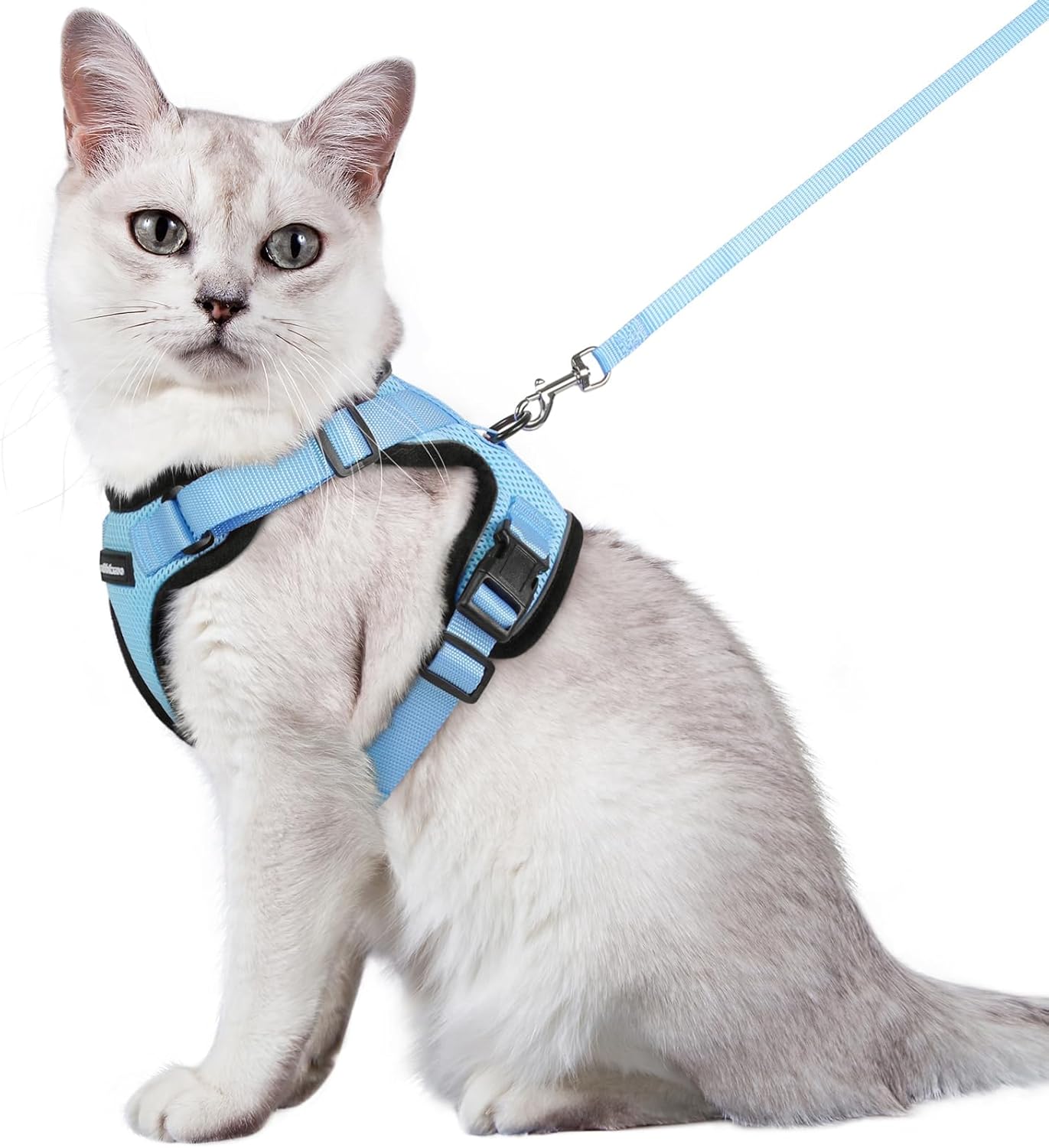 rabbitgoo Cat Harness and Leash for Walking, Escape Proof Soft Adjustable Vest Harnesses for Cats, Easy Control Breathable Reflective Strips Jacket, Black, S