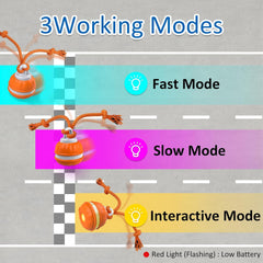 Auto-Rolling Motion Activated Ball