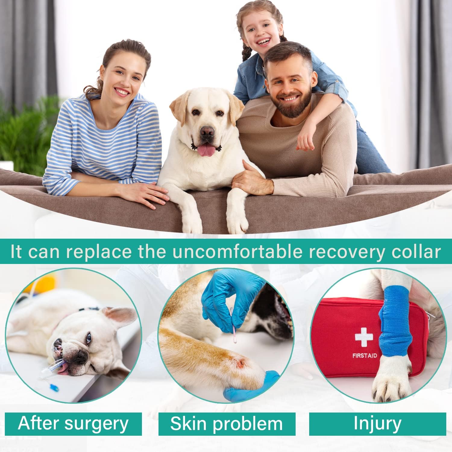 Etdane Recovery Suit for Dogs Surgery Suit Female Spay Dog Surgical Recovery Suit Male Dog Onesie for Surgery Female Anti Licking Wounds Dog Shedding Suit Grey/Small