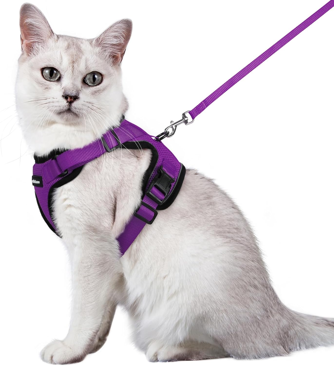 rabbitgoo Cat Harness and Leash for Walking, Escape Proof Soft Adjustable Vest Harnesses for Cats, Easy Control Breathable Reflective Strips Jacket, Black, S