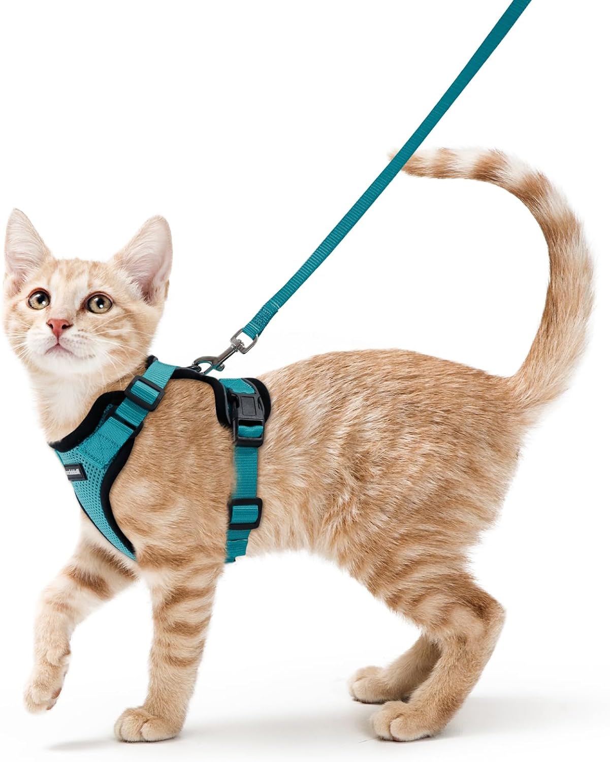 rabbitgoo Cat Harness and Leash for Walking, Escape Proof Soft Adjustable Vest Harnesses for Cats, Easy Control Breathable Reflective Strips Jacket, Black, S
