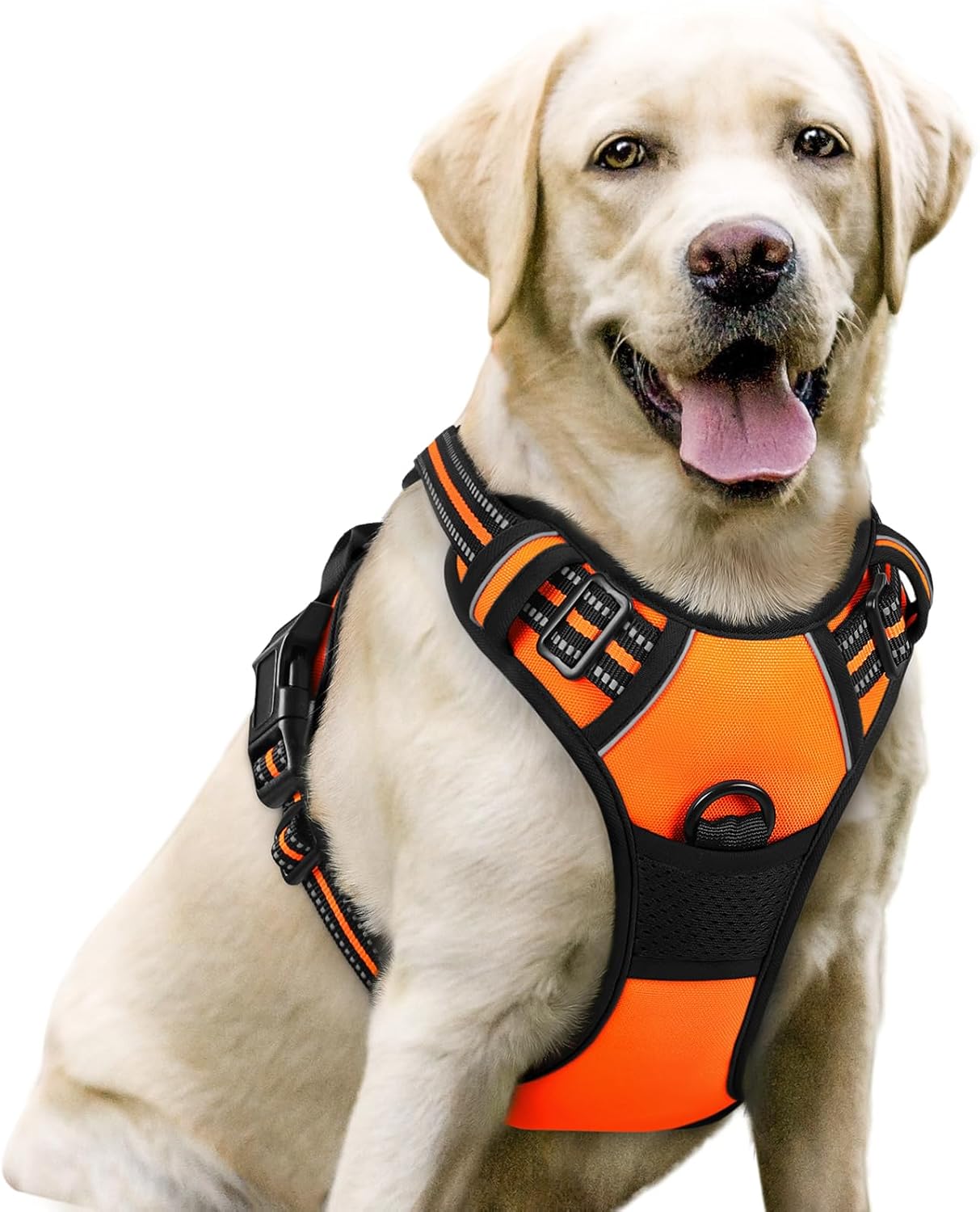 rabbitgoo Dog Harness No Pull with 2 Leash Clips, Adjustable Soft Padded, Reflective Oxford No Choke Pet Vest with Easy Control Handle for Large Dogs, Black, L