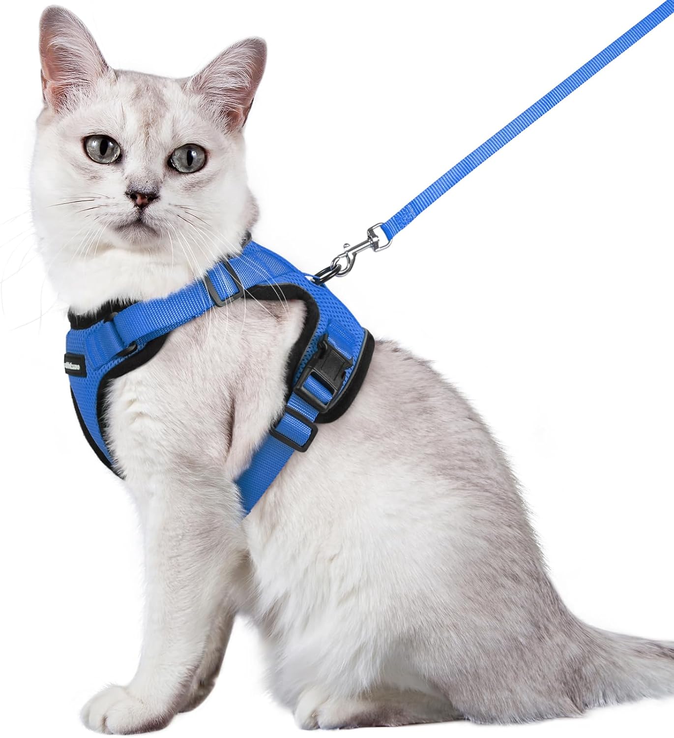 rabbitgoo Cat Harness and Leash for Walking, Escape Proof Soft Adjustable Vest Harnesses for Cats, Easy Control Breathable Reflective Strips Jacket, Black, S