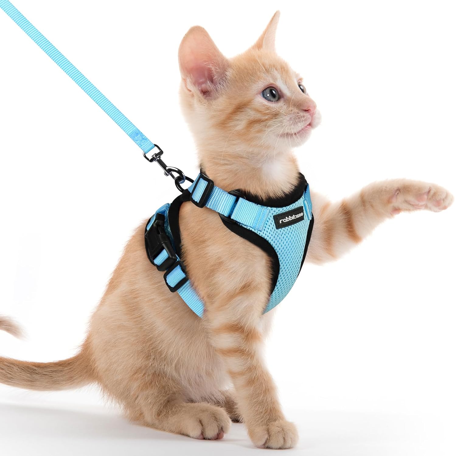 rabbitgoo Cat Harness and Leash for Walking, Escape Proof Soft Adjustable Vest Harnesses for Cats, Easy Control Breathable Reflective Strips Jacket, Black, S