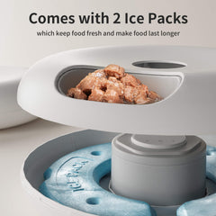 WiFi Automatic Pet Feeder - 6 Meals