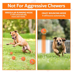 Remote Control Self-Rolling Dog Ball