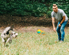 Rope Ball Dog Toy - Durable Chew Training