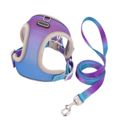 Pet Clothes Hand Holding Rope Out Dog Chest Strap