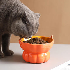 Raised Ceramic Cat Food Bowl